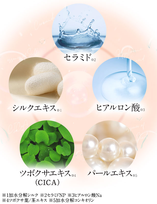 セラミド※2、シルクエキス※１、ヒアルロン酸※3、ツボクサエキス※4（CICA）、パールエキス※5　※1加水分解シルク ※2セラミドＮＰ ※3ヒアルロン酸Ｎａ ※4ツボクサ葉/茎エキス ※5加水分解コンキオリン