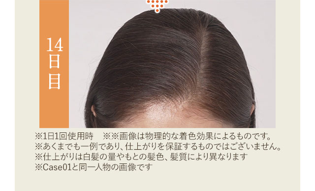 14日目