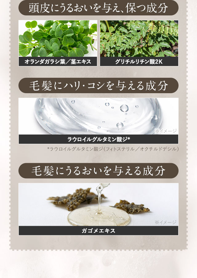 天然由来の保湿成分　頭皮にうるおいを与え、保つ成分、毛髪にハリ・コシを与える成分、毛髪にうるおいを与える成分